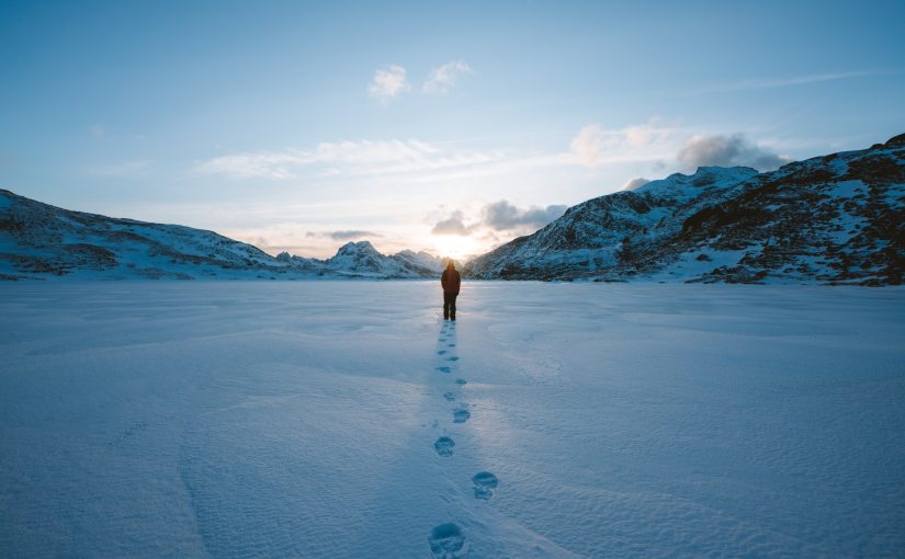 प्रतिरोध और करुणा