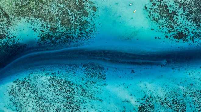 pexels-photo-1628137